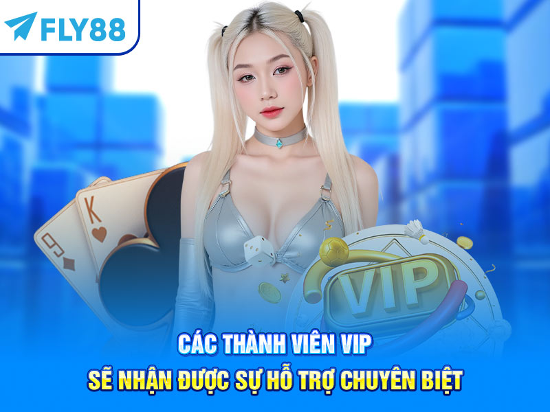 Các thành viên VIP sẽ nhận được sự hỗ trợ chuyên biệt